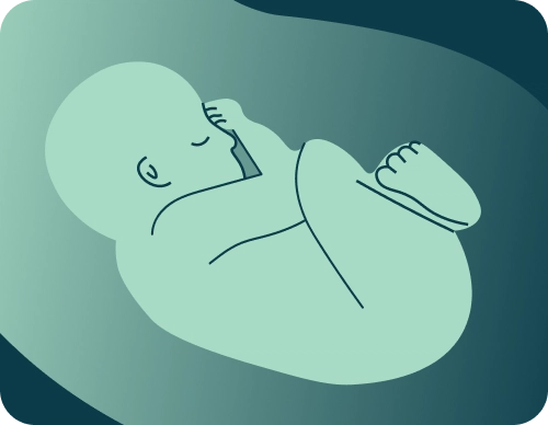 Obstetrícia completa