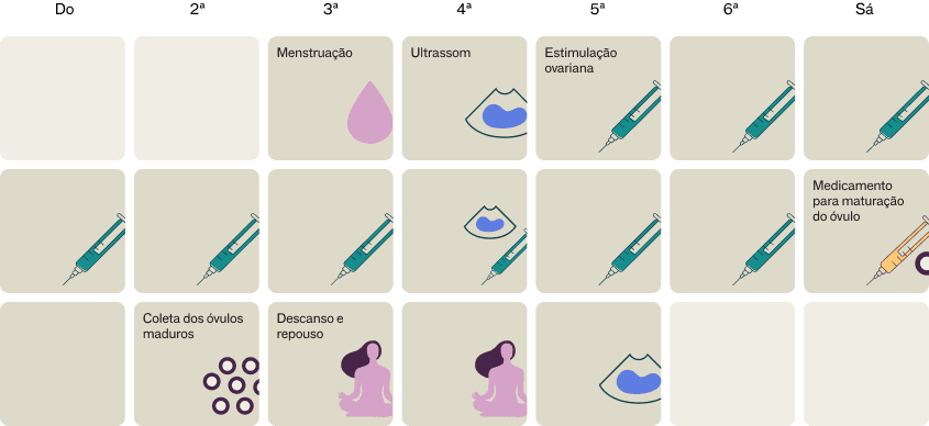 Calendário do congelamento
