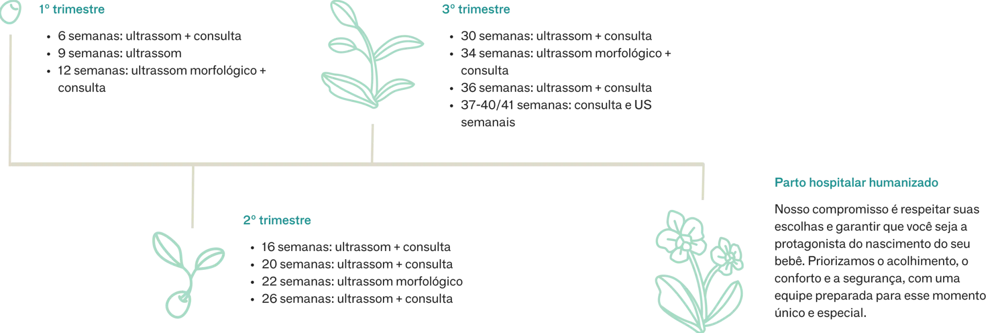 Jornada da gestante