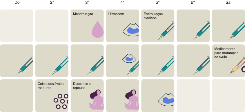 Calendário do congelamento